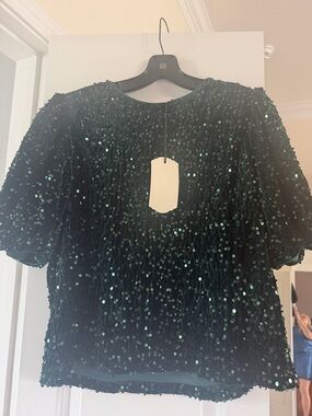 Vine & Love Emerald Sparkling Sequin Velvet  Top